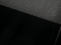 strati del polistirolo