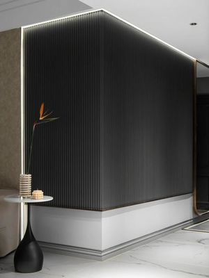 Installazione facile pannello murale wpc per esterni 2,9 m/3 m/Lunghezza personalizzata con clip e viti