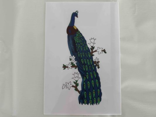 Fogli di polistirolo bianco Fogli di polistirolo colorato per progetti industriali e creativi