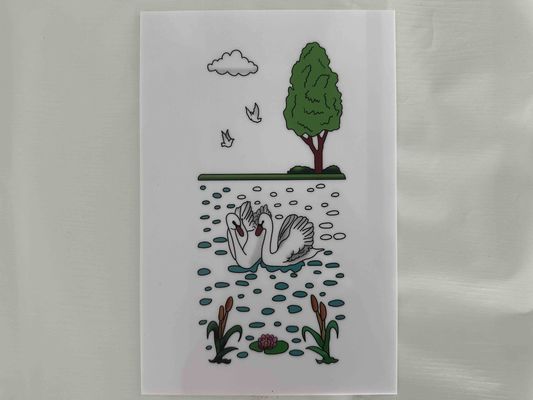 Lastre di polistirolo bianco su misura per il Messico con Decorada Lámina De Poliestireno Color Impression utilizzata per imballaggio e isolamento